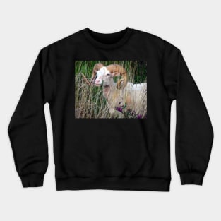 Animal Farm Life Art Photography Goat Ram in Field Meadow Country Animals Crewneck Sweatshirt